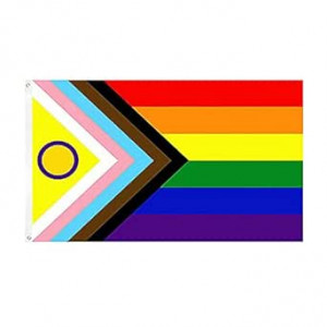 Progress Pride Flagge