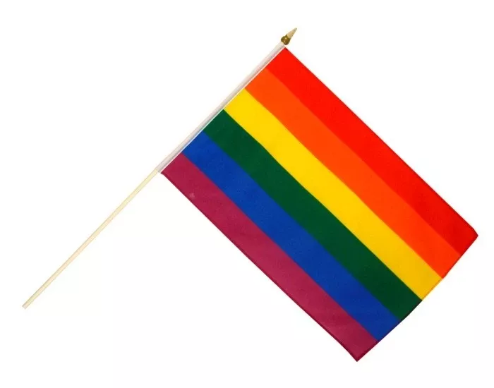 Rainbow Hand Flag